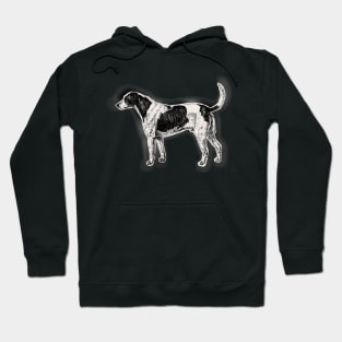 two-color piebald street dog Hoodie